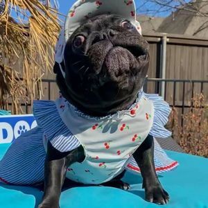 Meet your Posher, Candice